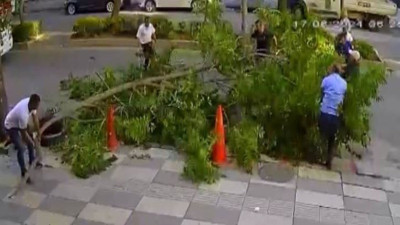 Ağacın kırılan dalı yola devrildi