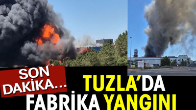 Tuzla'da fabrika yangını (18 Haziran 2024)