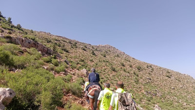 Dağ başında rahatsızlanan çoban için at seferber oldu