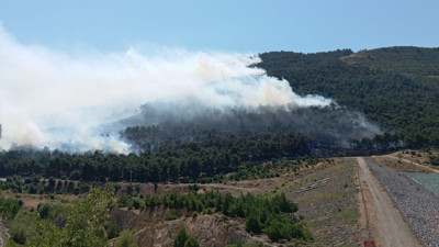 Manisa'daki yangın kontrol altına alındı (20 Haziran 2024)