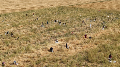 Tüccara kızdı bedava yaptı görenler talan etti. Markette kilosu 30 TL