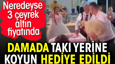 Damada takı yerine koyun hediye edildi. Neredeyse 3 çeyrek altın fiyatında