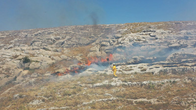 Örtü yangını ormana sıçramadan söndürüldü (21 Haziran 2024)