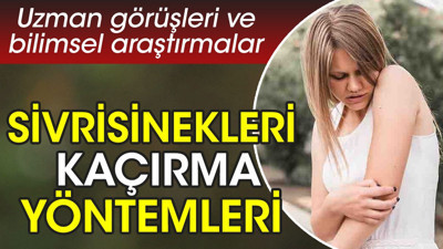Sivrisinekleri kaçırma yöntemleri uzman görüşleri ve bilimsel araştırmalardan ortaya çıktı