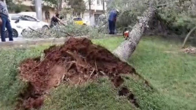 Şiddetli rüzgar çatılara ve araçlara zarar verdi