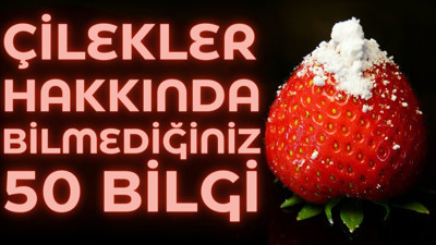 Çilekler hakkında bilmediğiniz 50 bilgi