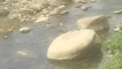 Eliyle balık tutmaya çalışan adam 40 santimetrelik suda böyle öldü