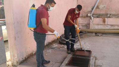 Haşereyle mücadele çalışmaları sürüyor