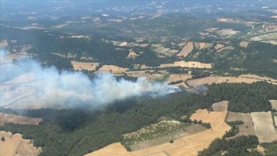 Tarım arazisinde başlayan yangın ormana sıçradı