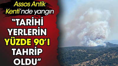 Assos Antik Kenti'nde yangın. ‘Yeşil alanların yüzde 90’ı tahrip oldu’