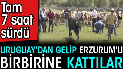 Uruguay'dan gelip Erzurum'u birbirine kattılar. Tam 7 saat sürdü