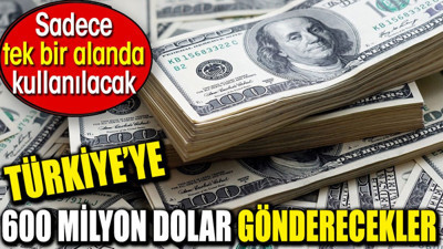 Türkiye’ye 600 milyon dolar gönderecekler. Sadece tek bir alanda kullanılacak