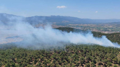 Balıkesir'de orman yangını (29 Haziran 2024)
