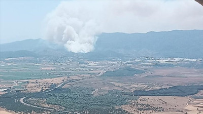 İzmir'de orman yangını