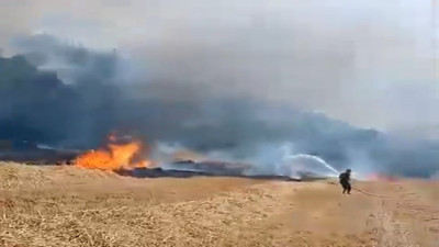 Anız yangın ormana sıçradı yürekler ağza geldi