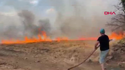Edirne'de buğday tarlasında çıkan yangın ağaçlık alana sıçradı