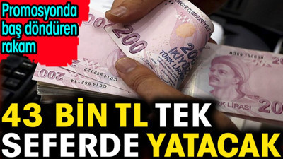 43 bin TL tek seferde yatacak. Promosyonda baş döndüren rakam