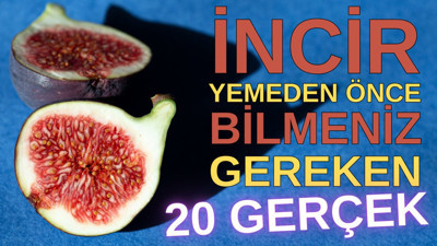 İncir yemeden önce bilmeniz gereken 20 gerçek