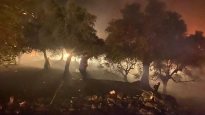 Sultanhisar yangın çıktı