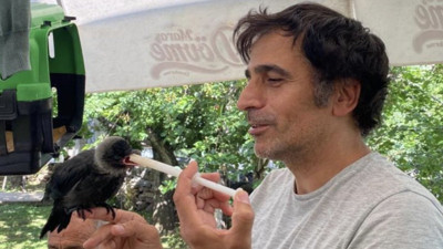 Yavru kargaya bebek gibi bakıp omzunda gezdiriyor