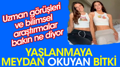 Yaşlanmaya meydan okuyan bitki uzman görüşleri ve bilimsel araştırmalardan ortaya çıktı
