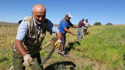 Mesai başladı. Aylıkları 45 bin lira