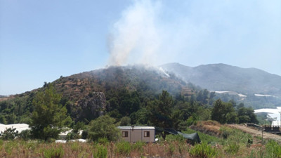 Mersin'deki orman yangını kontrol altına alındı (01 Temmuz 2024)