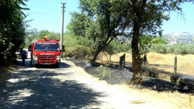 Yine izmarit yine yangın!