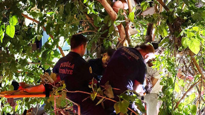 Aracın çarpmasıyla 5 metrelik ağaçta asılı kaldı