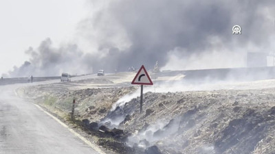 Tekirdağ'da tarla yangını (02 Temmuz 2024)