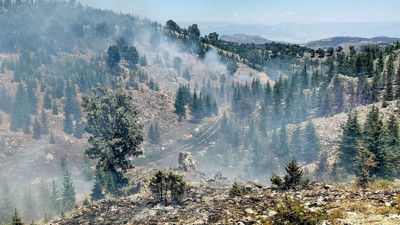 Mersin'de orman yangını (02 Temmuz 2024)