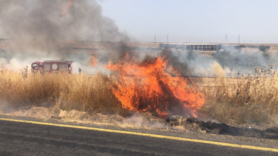 Anız yangını buğdayları da yaktı
