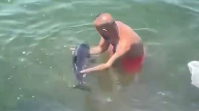 Balıkçılar bu kez balık kurtardı