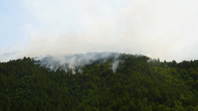 Kastamonu'da orman yangını (04 Temmuz 2024)