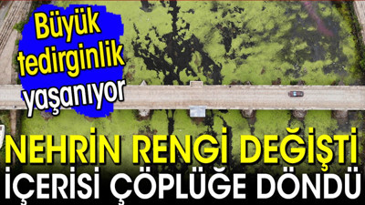 Nehrin rengi değişti içerisi çöplüğe döndü! Büyük tedirginlik yaşanıyor