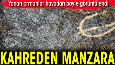 Kahreden manzara! Bornova'da yanan ormanlar dronla görüntülendi