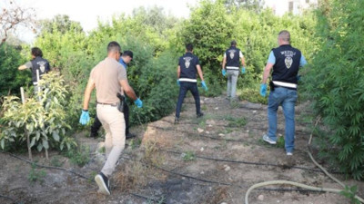 Limon bahçesini polis bastı