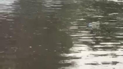 Yaz yağmuru sokakları göle çevirdi