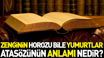 Zenginin horozu bile yumurtlar atasözünün anlamı nedir?