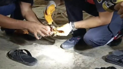 İtfaiyeden minik civciv kurtarma operasyonu