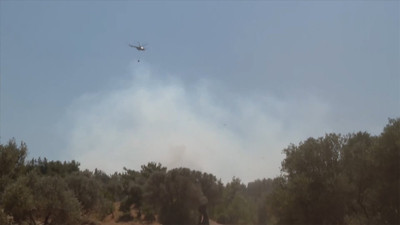 İzmir’de orman yangını (10 Temmuz 2024)