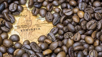 Kahve ihracatı rekor kırdı