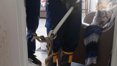 Eve giren yılanı itfaiye çıkardı