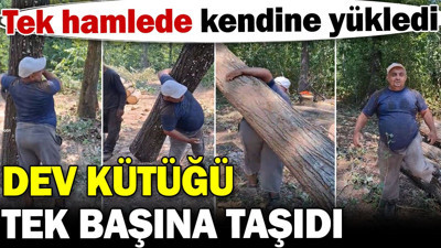 Dev kütüğü tek başına taşıdı! Tek hamlede kendine yükledi