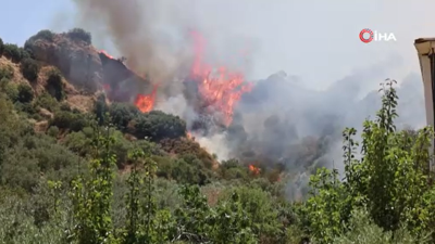 Manisa'da orman yangını (18 Temmuz 2024)