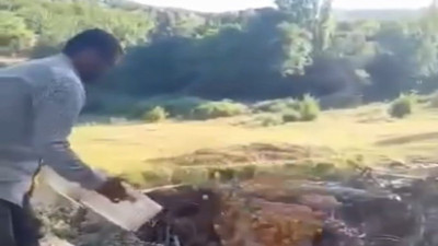 Para etmeyen kayısılarını dereye döktü