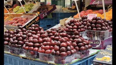 Prag pazarında bir Türk: 'Kirazlarımız nereye gidiyor öğrendik'