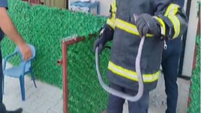 Depremzedelerin yılan korkusu