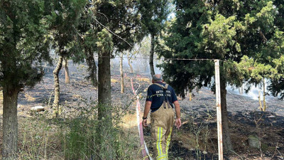 Sancaktepe’de orman yangını
