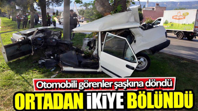 Ağaca çarpan otomobili görenler şaşkına döndü! Ortadan ikiye bölündü